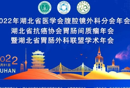 學術之聲 | 微創(chuàng)?圖邁?亮相2022湖北省醫(yī)學會腹腔鏡外科分會年會，試駕體驗廣受贊譽